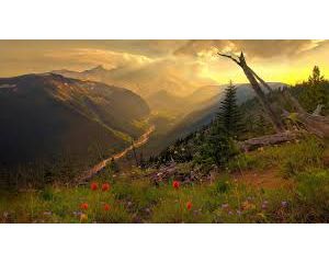 VALMOR Lábazatfesték