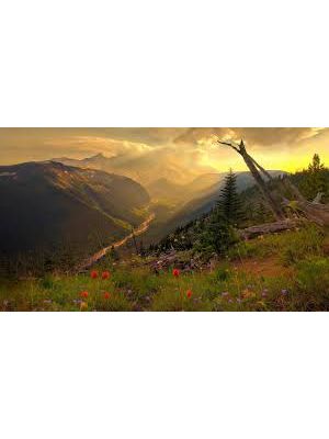 VALMOR Lábazatfesték